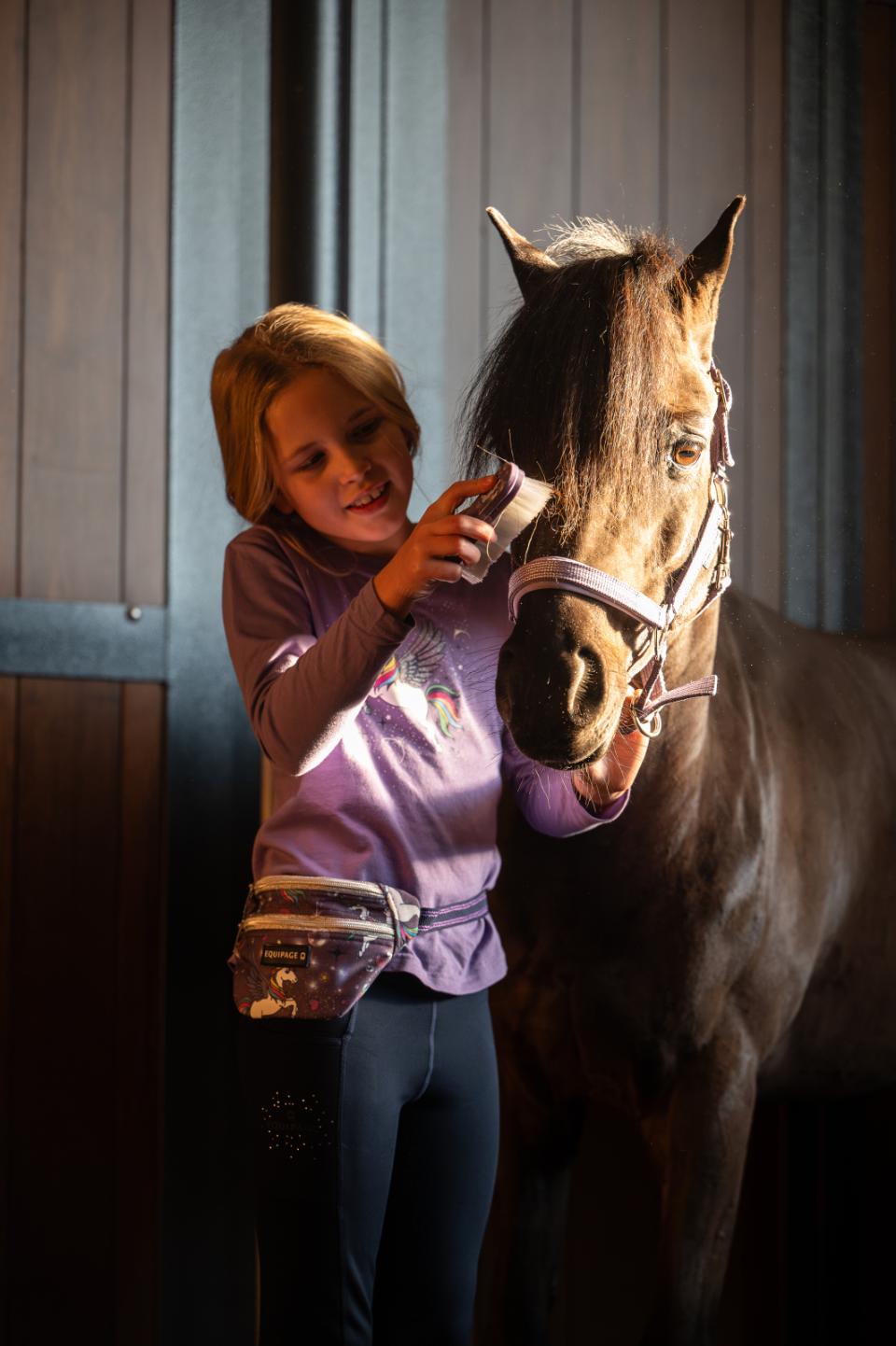 Equipage Jinx Langærmet Bluse - Purple Haze
