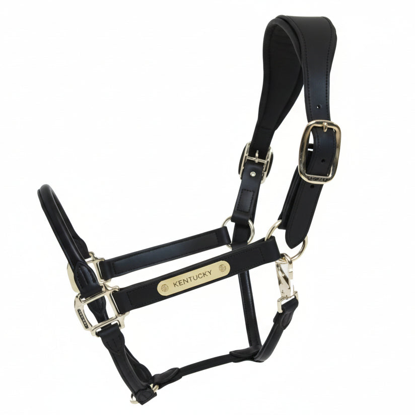 Kentucky Anatomisk Lædergrime - Sort