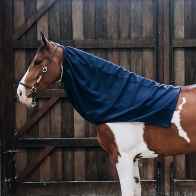 Kentucky Cooler Fleece Scarf