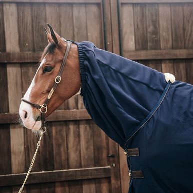 Kentucky Cooler Fleece Scarf