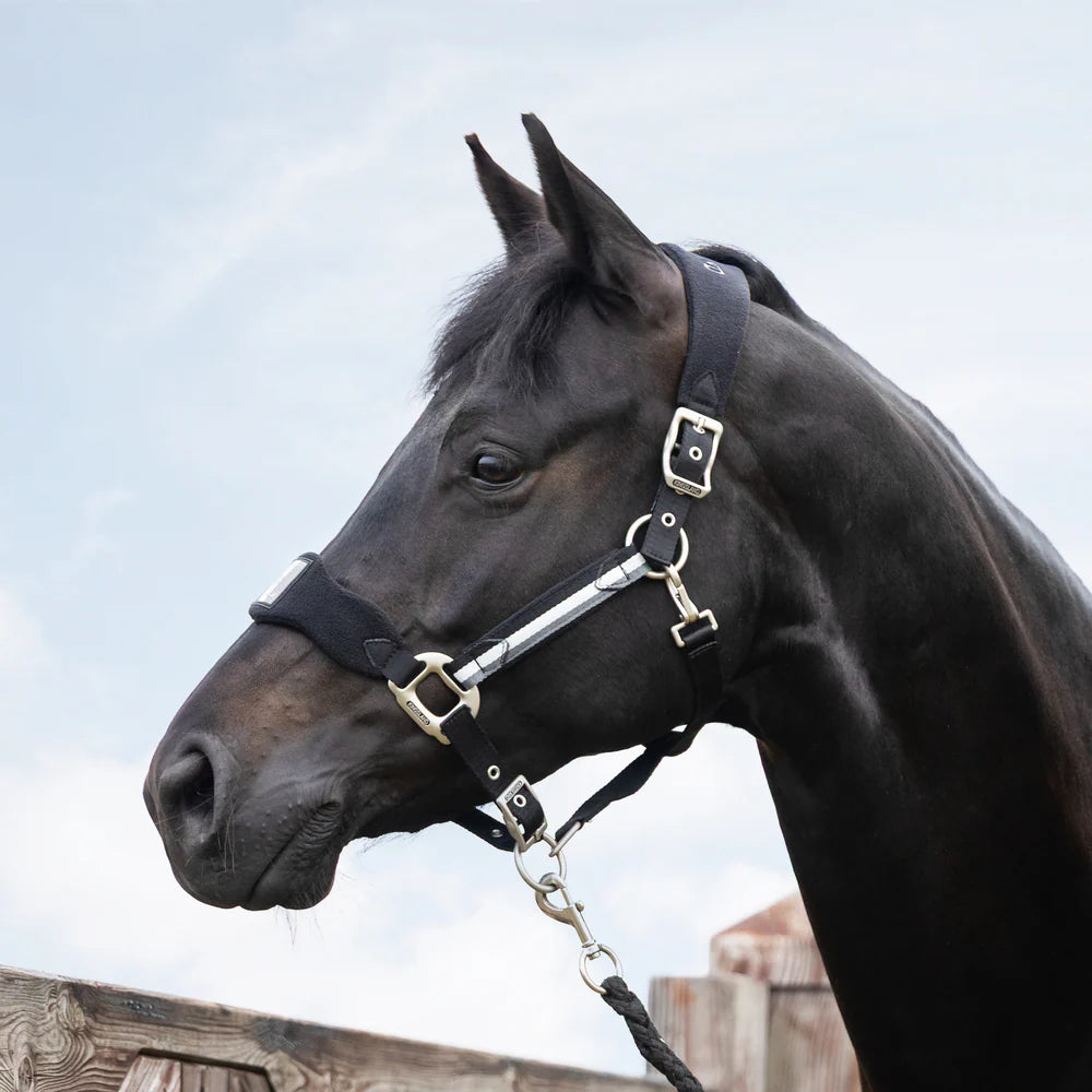 Kingsland Classic Grime - Sort