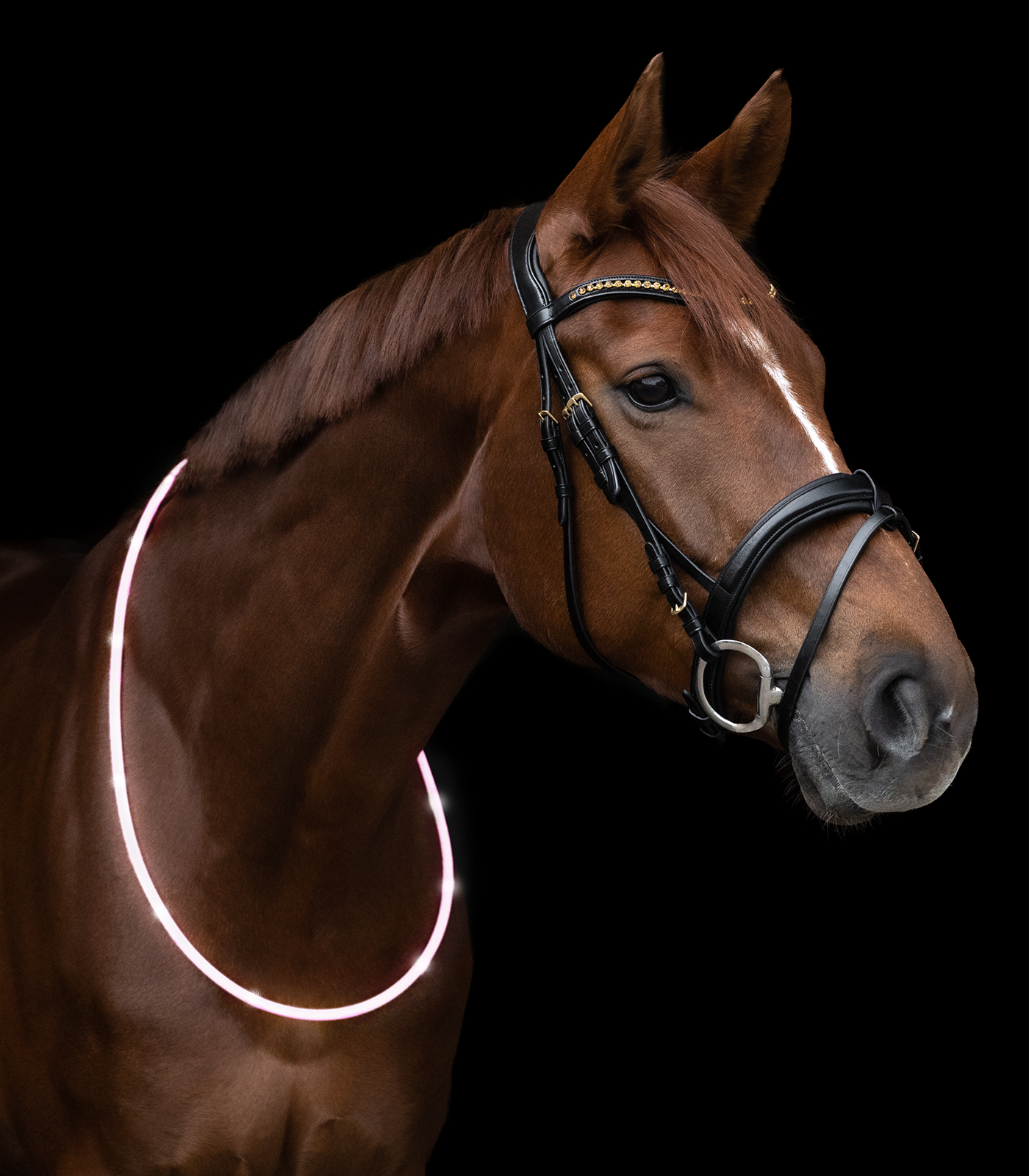 Waldhausen LED Halsring 150 cm - Hvid