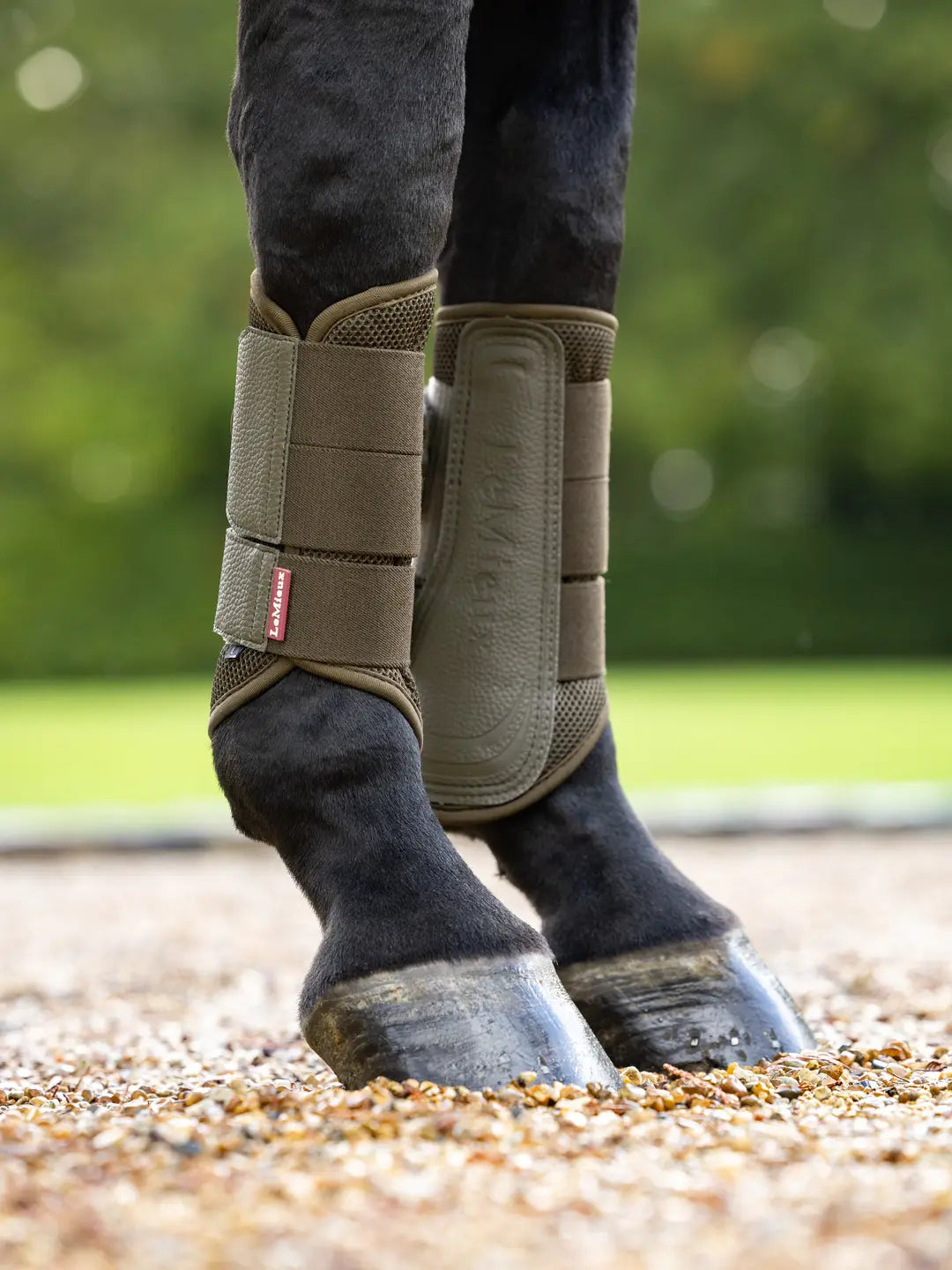 LeMieux Arika Mesh Brushing Boots - Alpine
