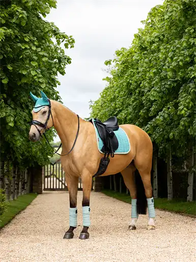 LeMieux Suede Square Dressurunderlag - Lagoon