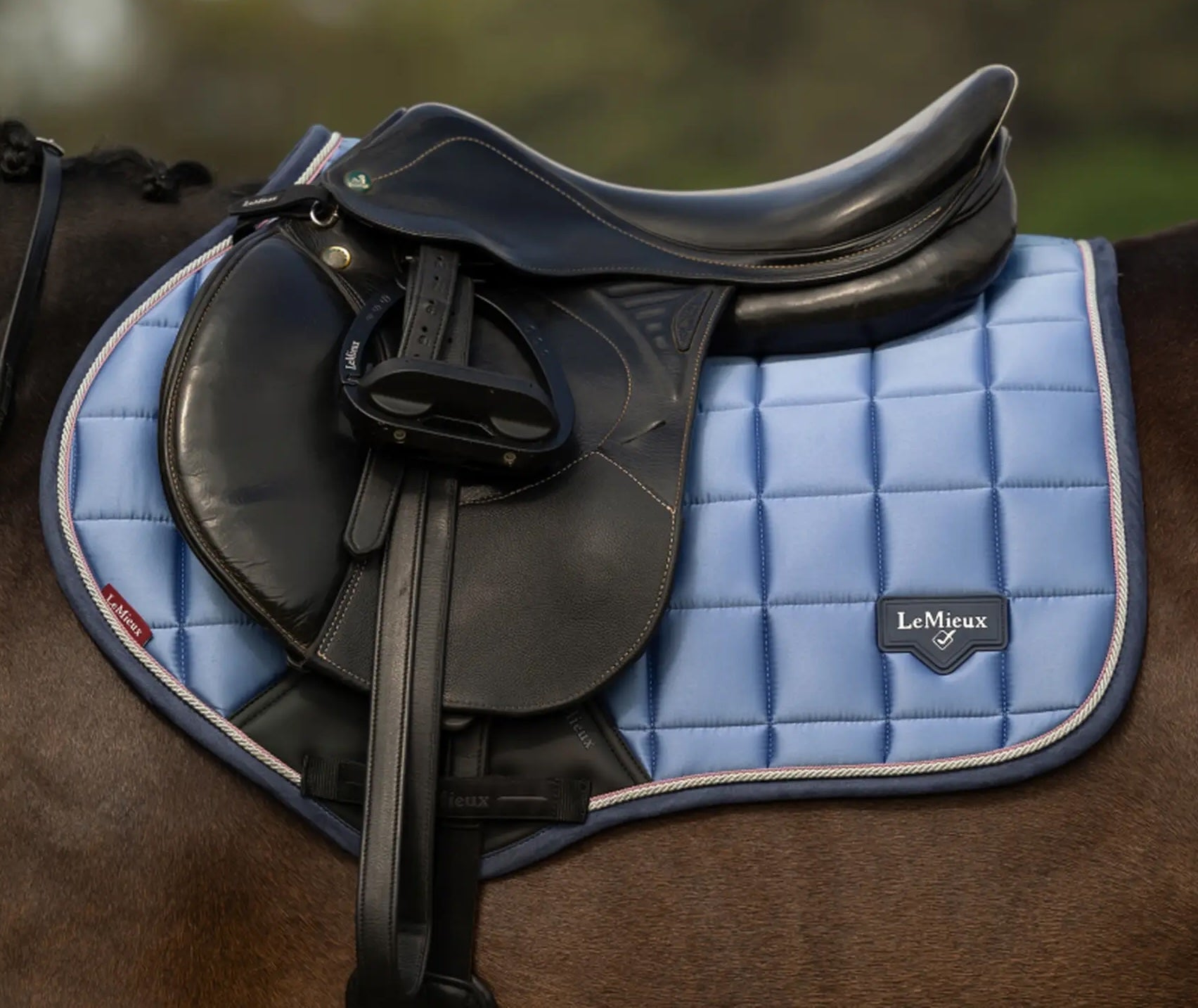 LeMieux Loire Classic CC Springunderlag M. 2 Trim