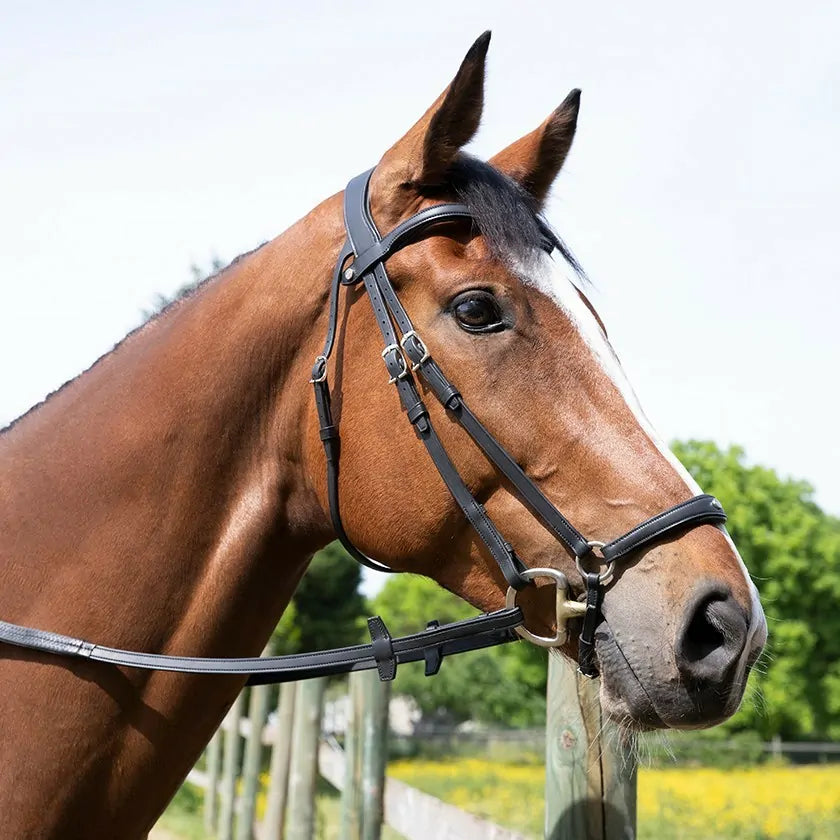Antares Origin Hannoveransk Trense - Sort