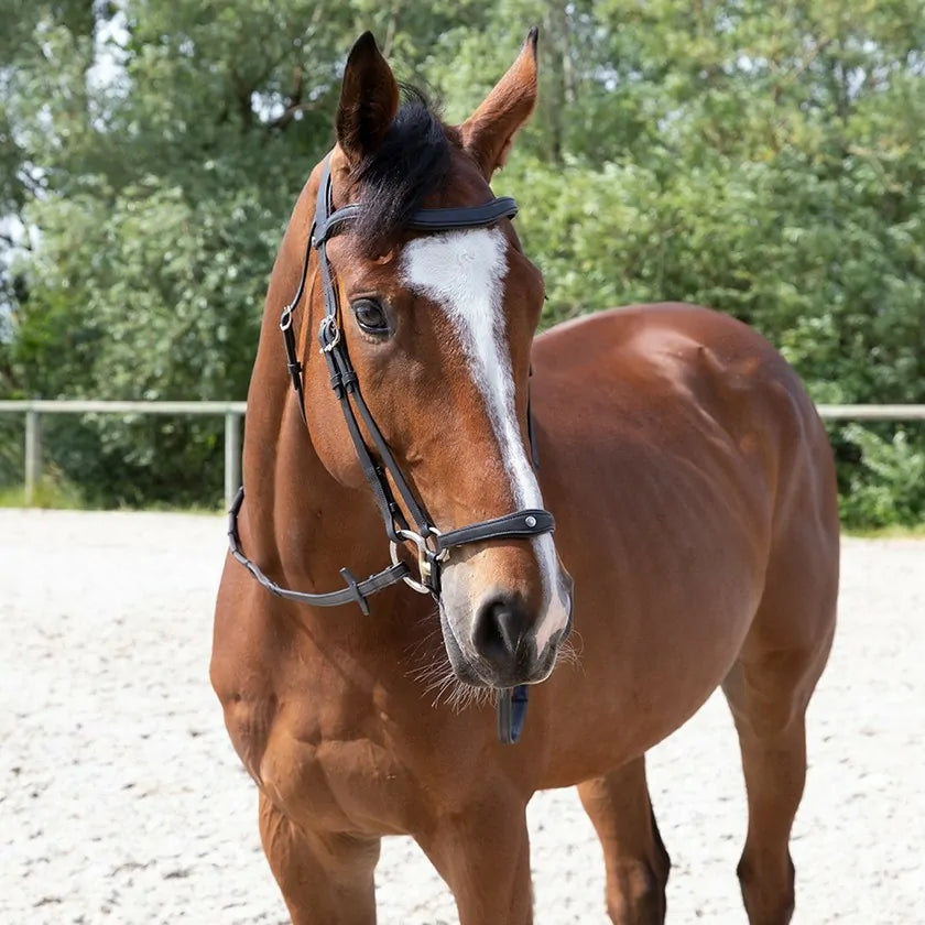 Antares Origin Hannoveransk Trense - Sort