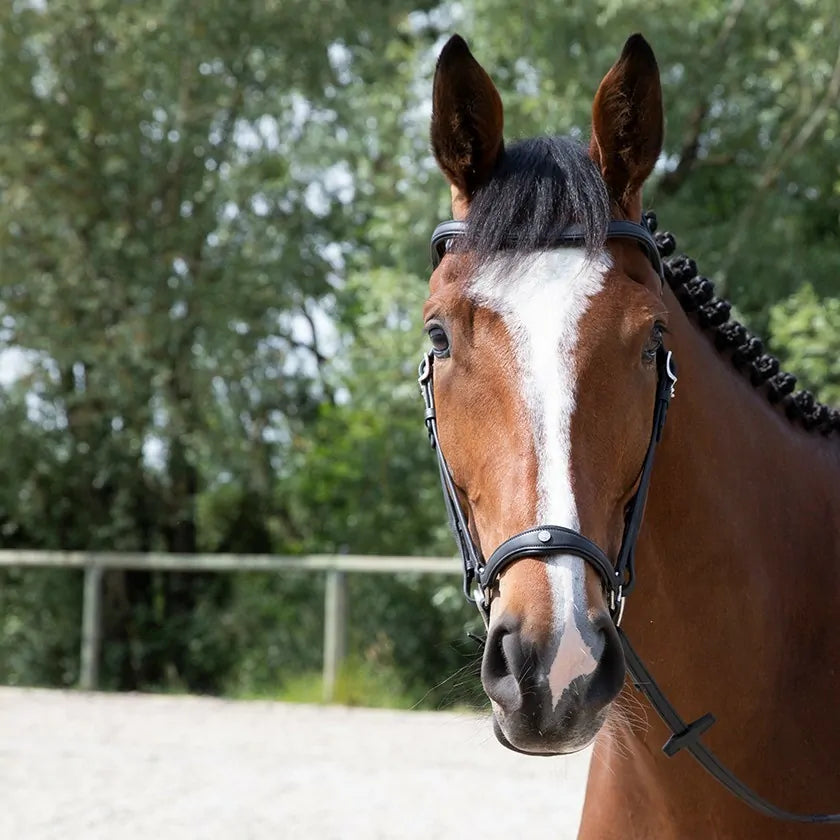 Antares Origin Hannoveransk Trense - Sort