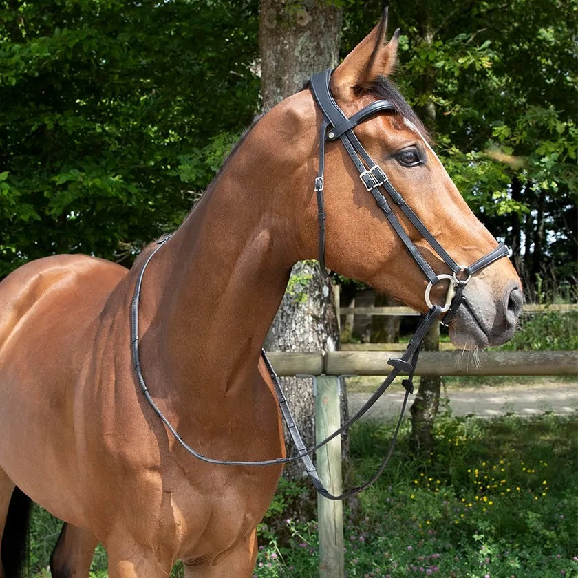 Antares Origin Hannoveransk Trense - Sort