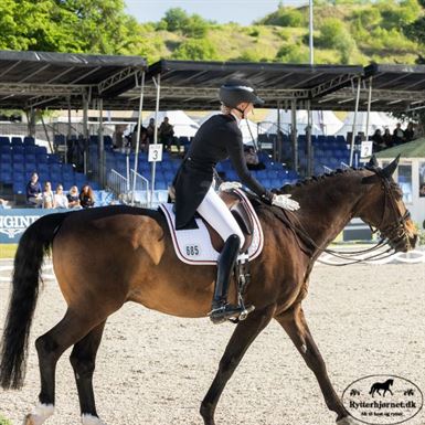 Pikeur Laure Ridebukser m. Fuldgrip - Hvid
