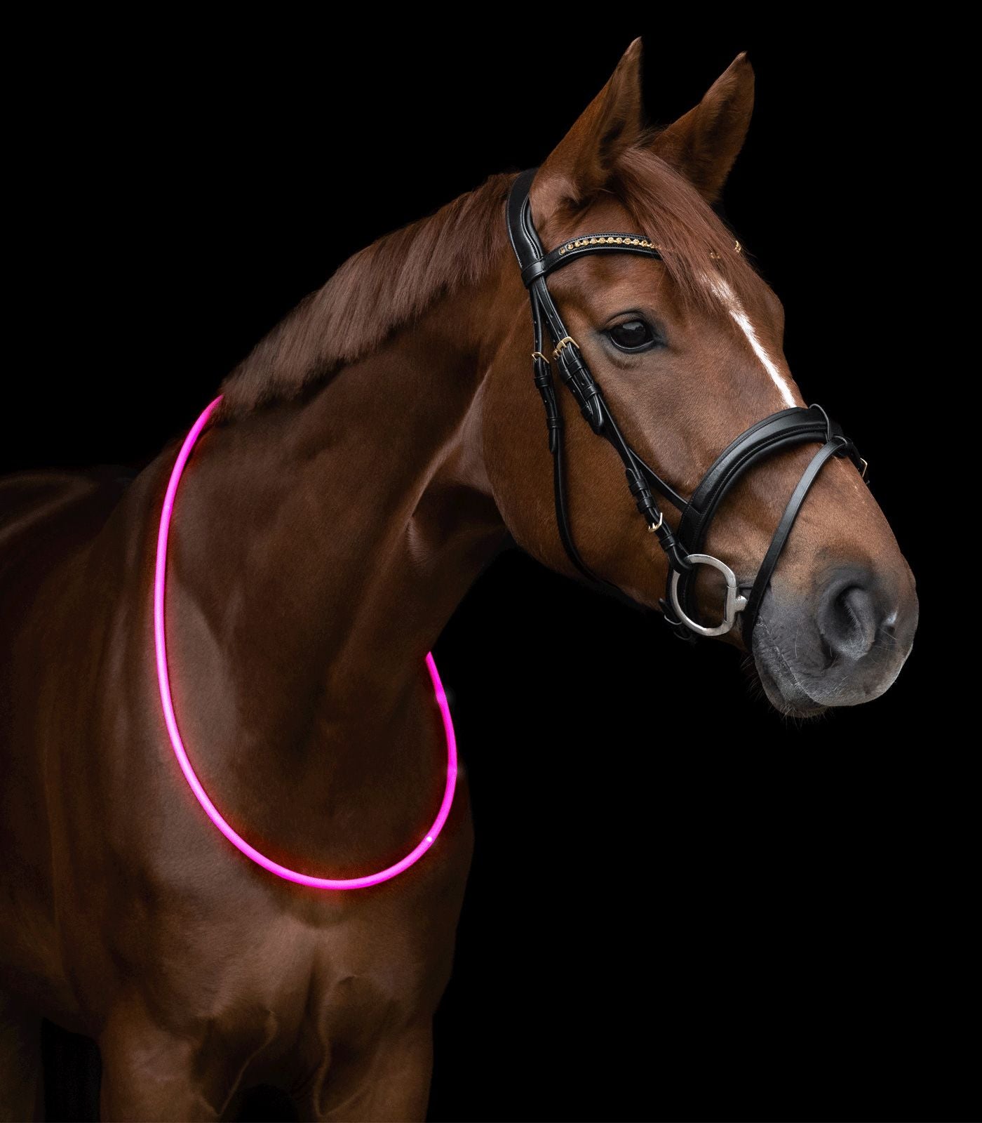Waldhausen LED Halsring 150cm - Pink