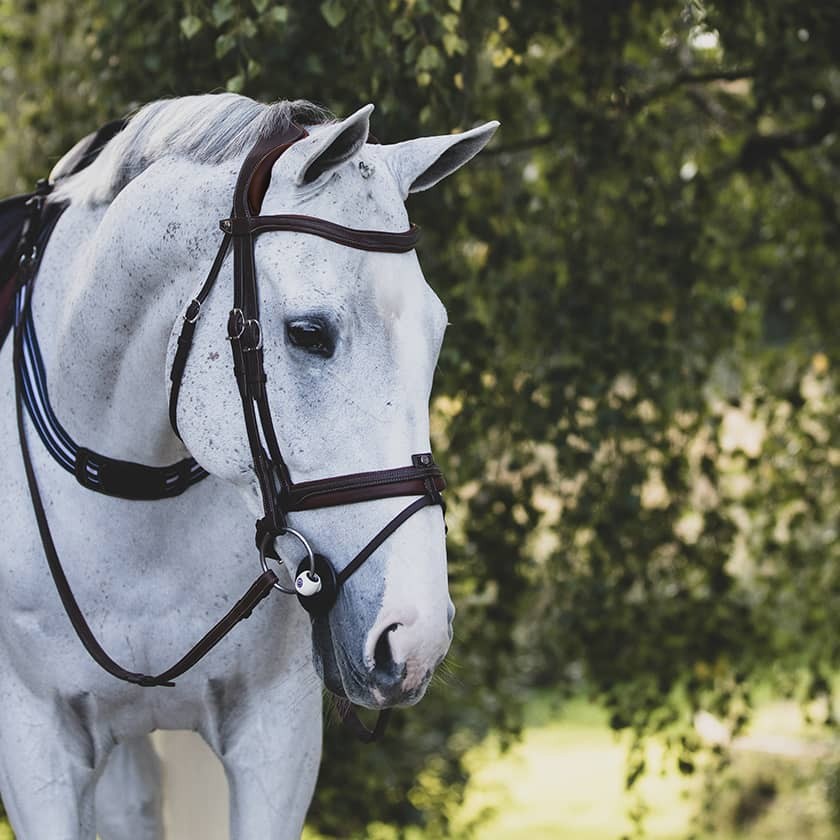 Antares Precision Comfort Trense - Brun