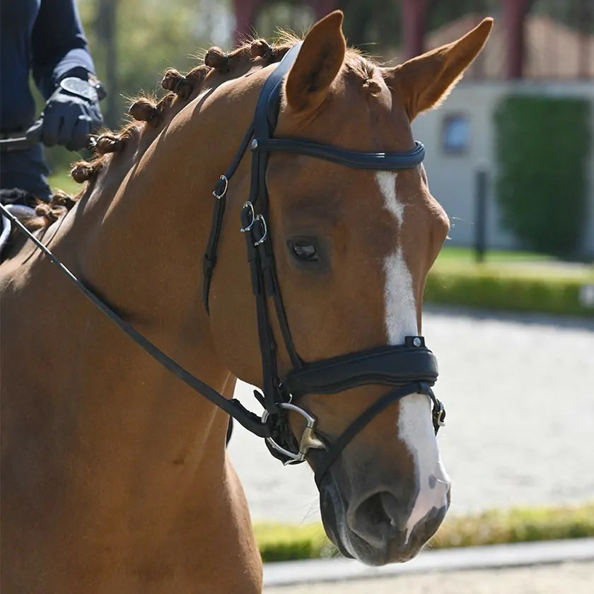 Antares Precison Comfort Trense M. Tilbagetræk - Sort