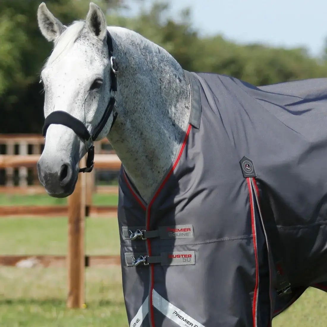 Premier Equine Buster 50 gram Dækken M. Snug Fit Hals - Grå