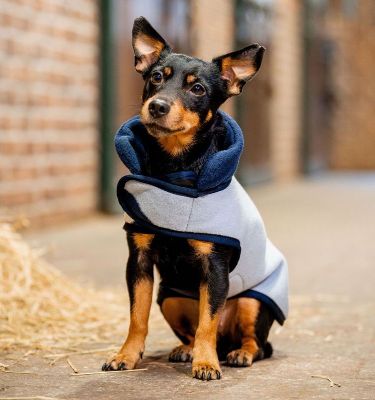 Horseware Signature Fleece Hundedækken - Witney Navy